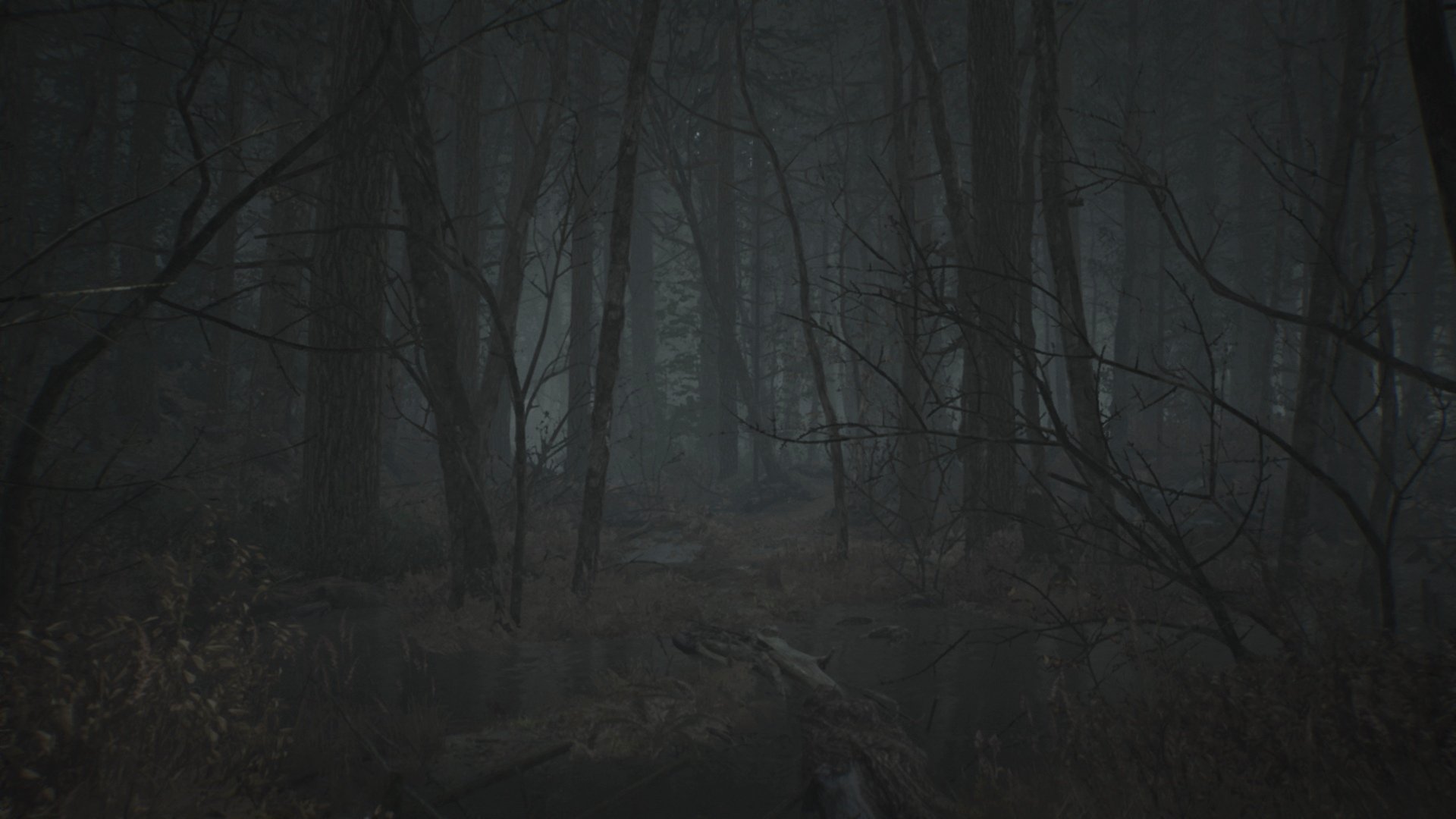Blair Witch - Imagen 34